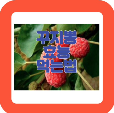 꾸지뽕 효능