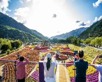 인제 가을꽃축제_21