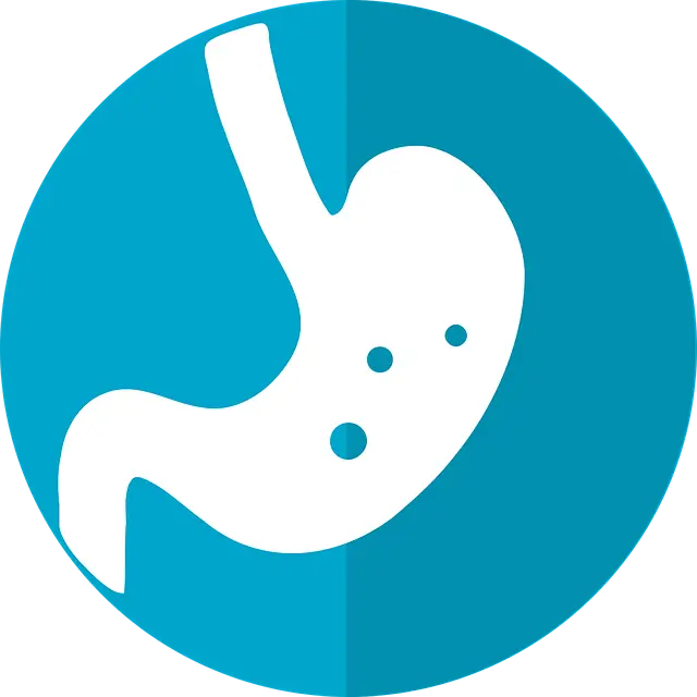 stomach-icon-2316627_640