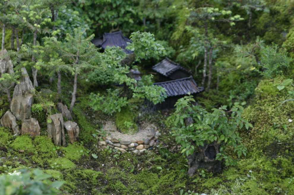 세미원 연꽃문화제