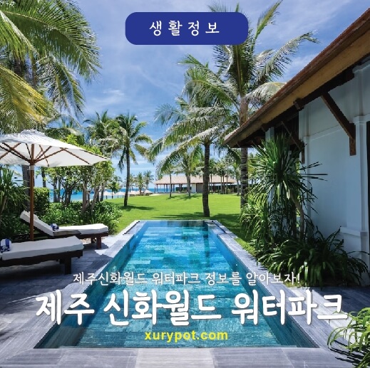 야자가 있는 수영장