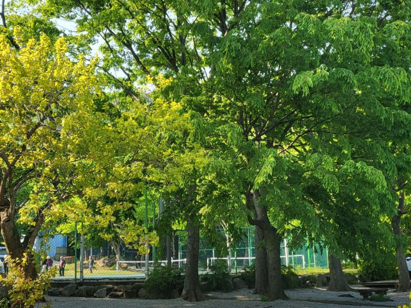 함허동천