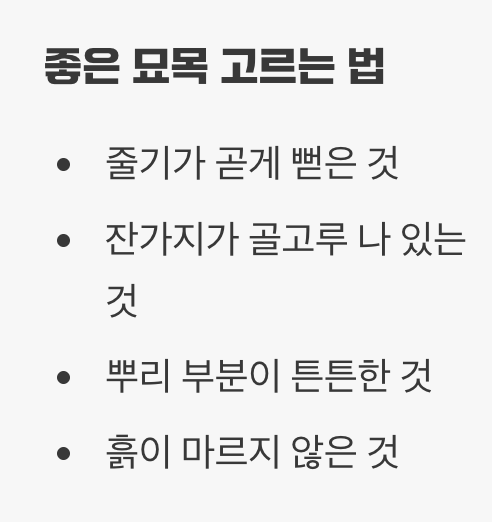 첫 단추, 건강한 묘목과 햇살 가득한 자리