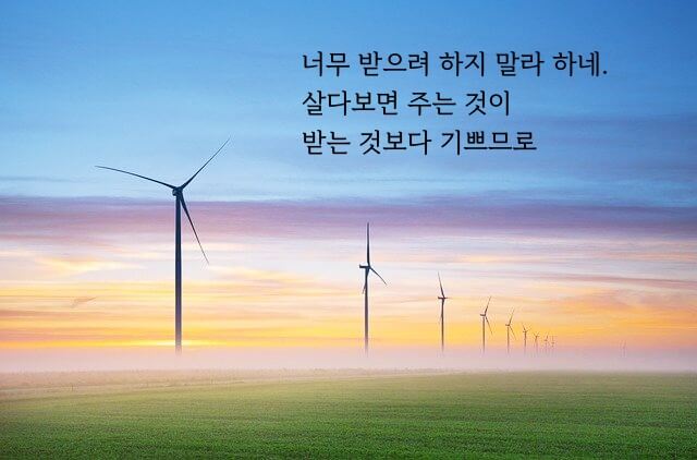 ‘삶이 나에게’ 시 문구 들어간 이미지