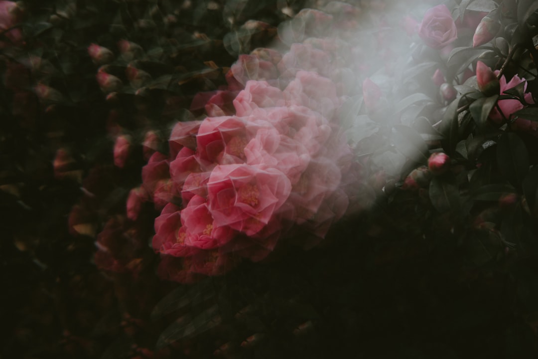 odor