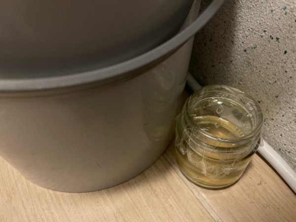 직접 만든 초파리 트랩을 음식물 쓰레기통 옆이나 초파리가 자주 나타나는 장소에 설치하기