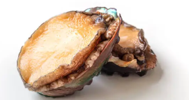 9월 제철 음식, 9월 제철 해산물