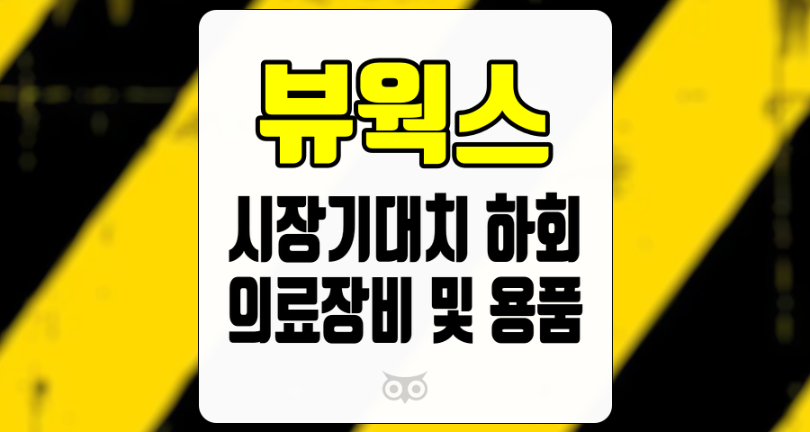 뷰웍스, 시장 기대치를 하회하는 실적과 향후 전망