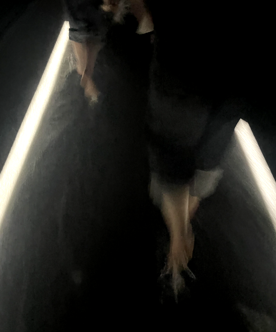 일본 도쿄 팀랩 플래닛 여행 내부진입-언덕 위의 빛의 폭포