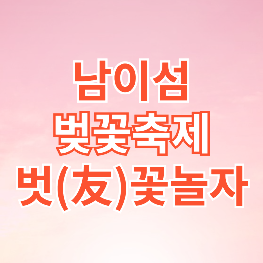 남이섬 벚꽃축제