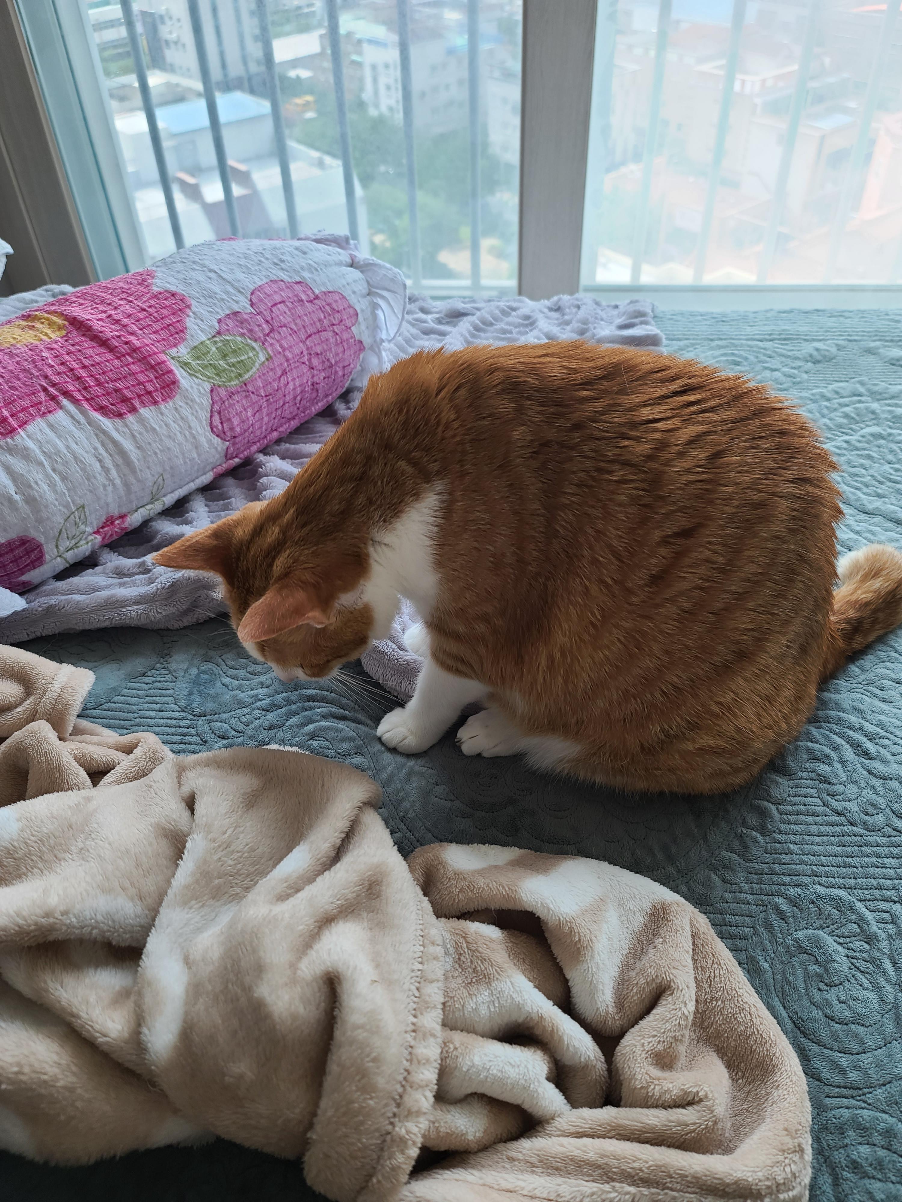 우리집 아이들이 100프로 넘어오는 장난감!