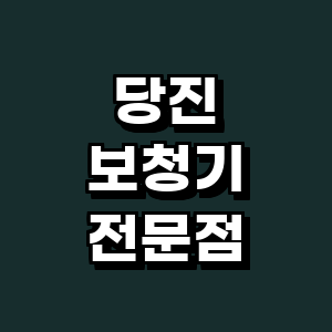 당진시 보청기
