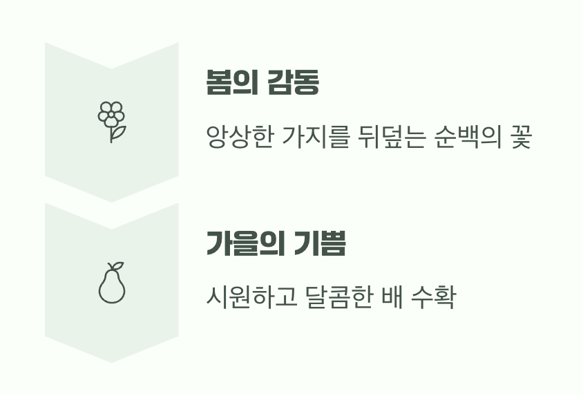 순백의 꽃, 달콤한 가을의 열매