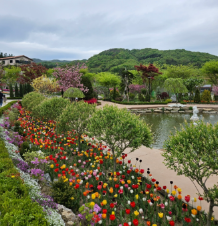 용인 자작나무숲 - 애견동반 입장료 펜션 예약