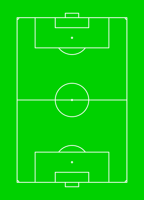 월드컵한국vs브라질분석