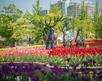 고양 꽃박람회_7