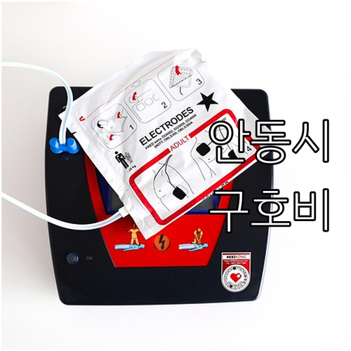 2025년 안동시 긴급 구호비 지원,..