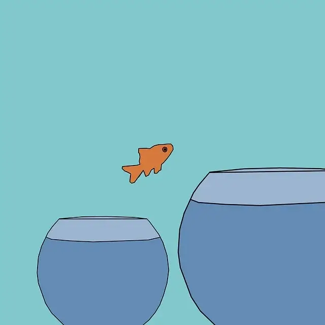 국민연금 납부액, 예상수령액