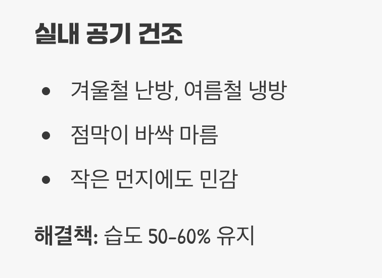 실내가 너무 건조합니다 (환경적 요인)