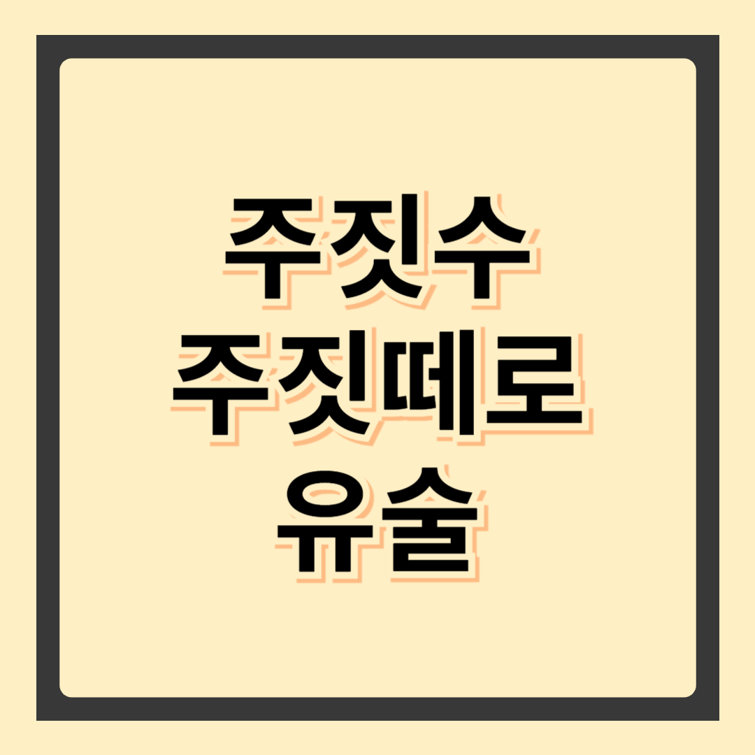 주짓수 – 실전 격투기와 운동 효과의 모든 것