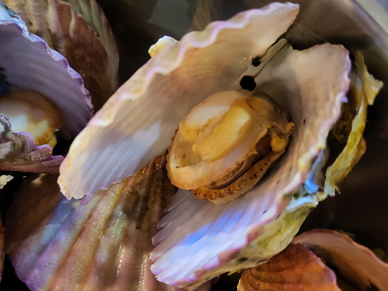 가리비 찜 맛집 방배동 스마일포차 가리비 찜