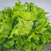 과민성 대장증후군에 좋은 음식 영양제 식단