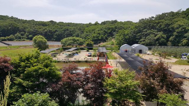 파주 인생캠핑장, 추천캠핑장