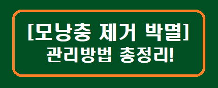 [모낭충 제거 박멸] 관리방법 총정리