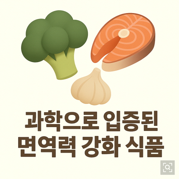 면역력 강화 식품/gpt