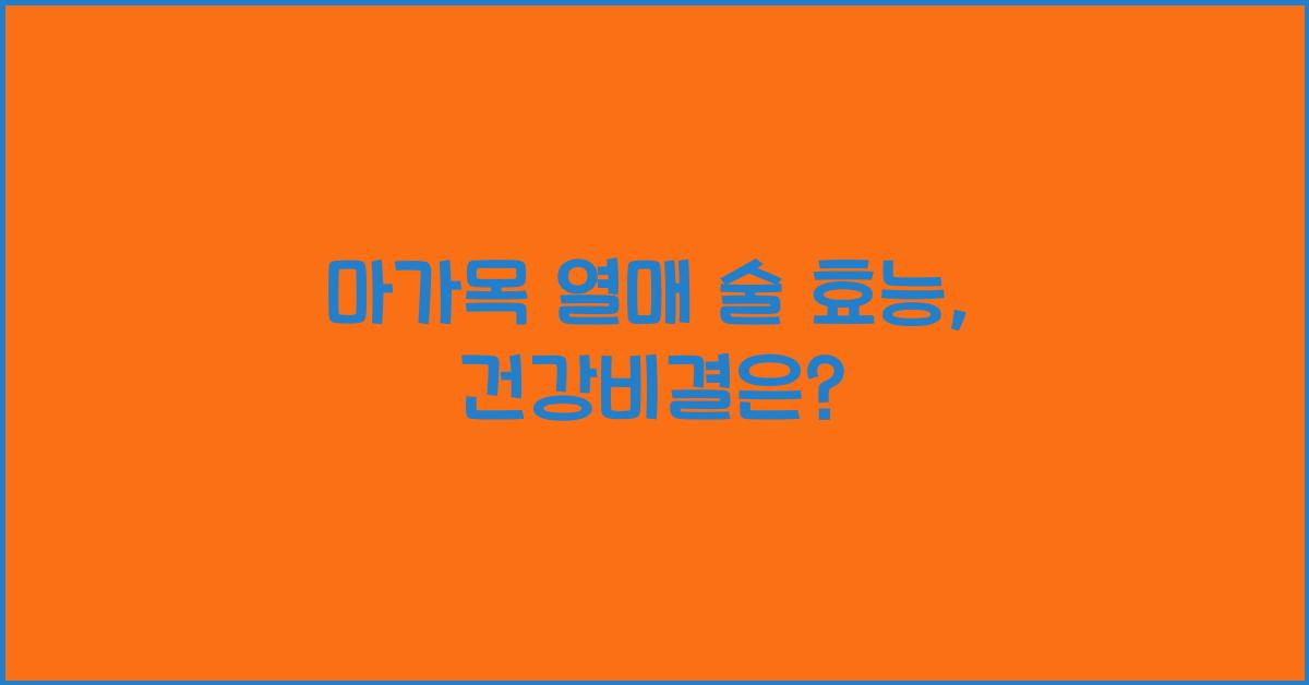 마가목 열매 술 효능