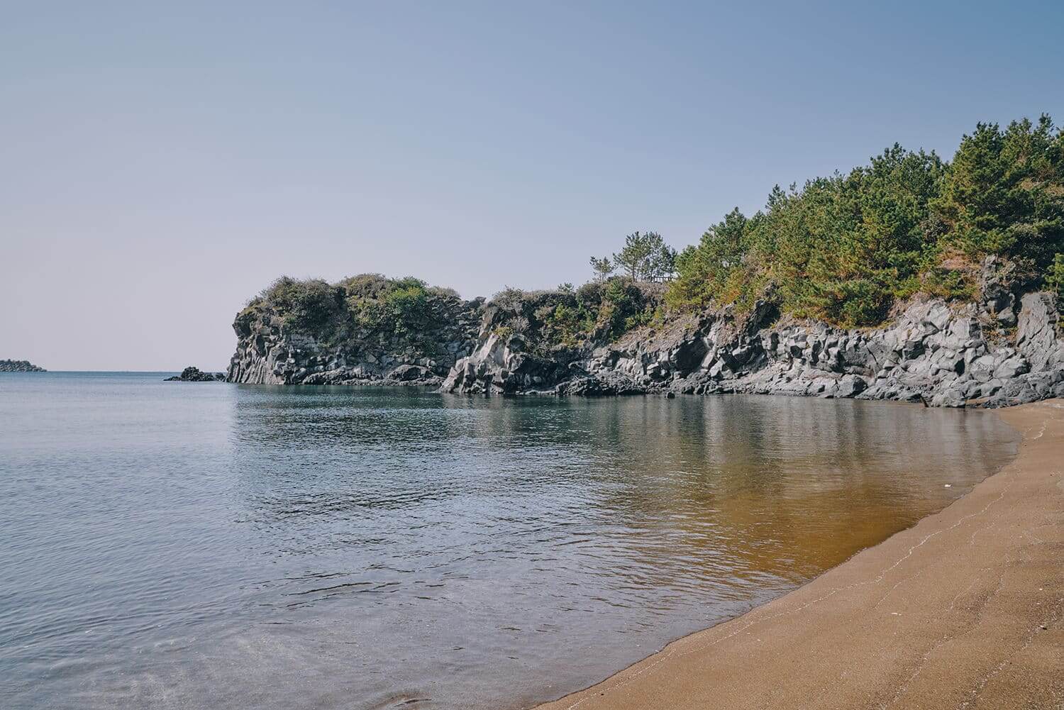 올레길 7코스 vs 10코스&amp;#44; 최고의 선택은? 🥾