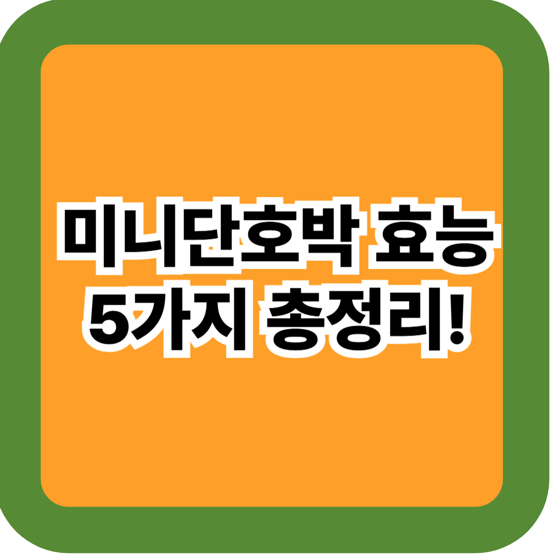 미니단호박 효능 5가지 – 다이어트·칼로리·손질·레시피 꿀팁 총정리