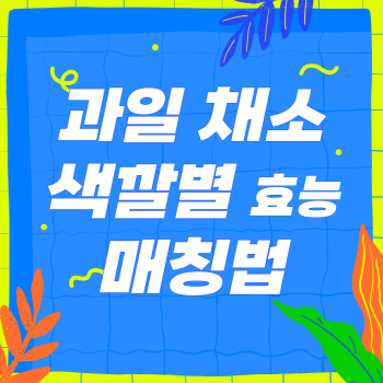 과일과 채소의 색깔별 효능과 매칭법