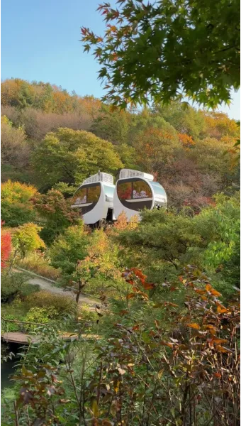 화담숲 입장료 할인 받는 법부터 예매 꿀팁까지는 총정리_26