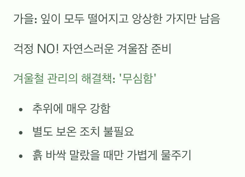 겨울나기, 잠자는 숲속의 공주