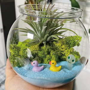 정글 대탐험 체험 안내