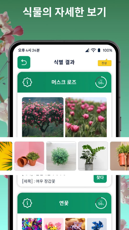 꽃이름 검색 어플, 사진으로 꽃이름 찾기