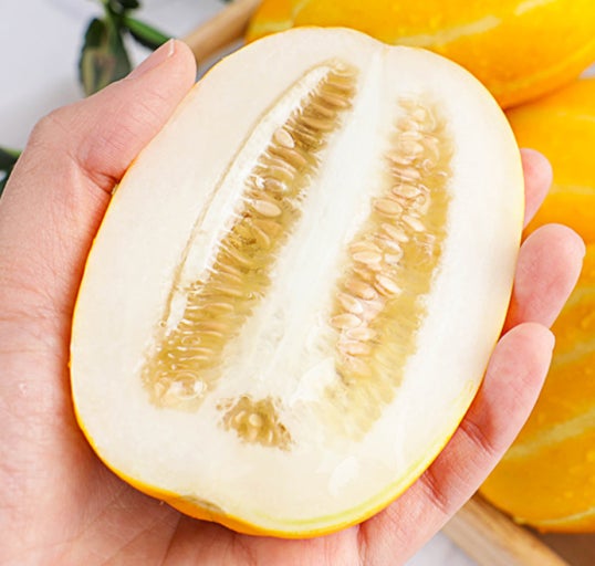 참외 효능 부작용