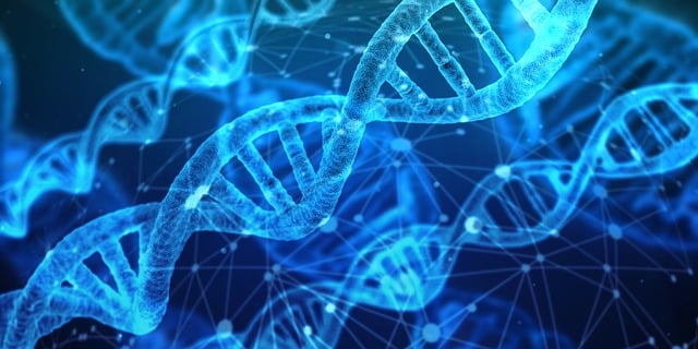 DNA 이미지