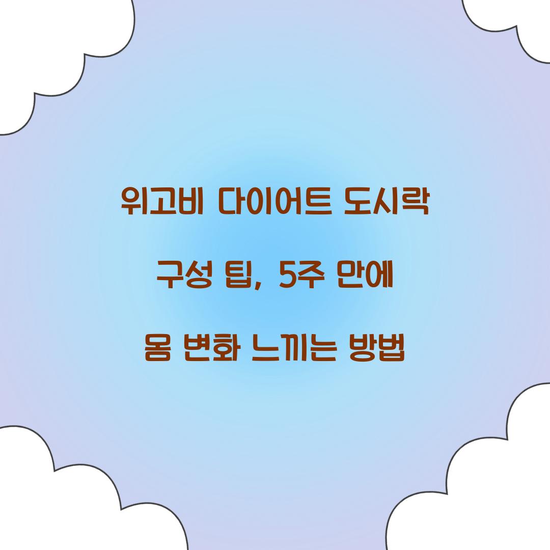 위고비 다이어트 도시락 구성 팁