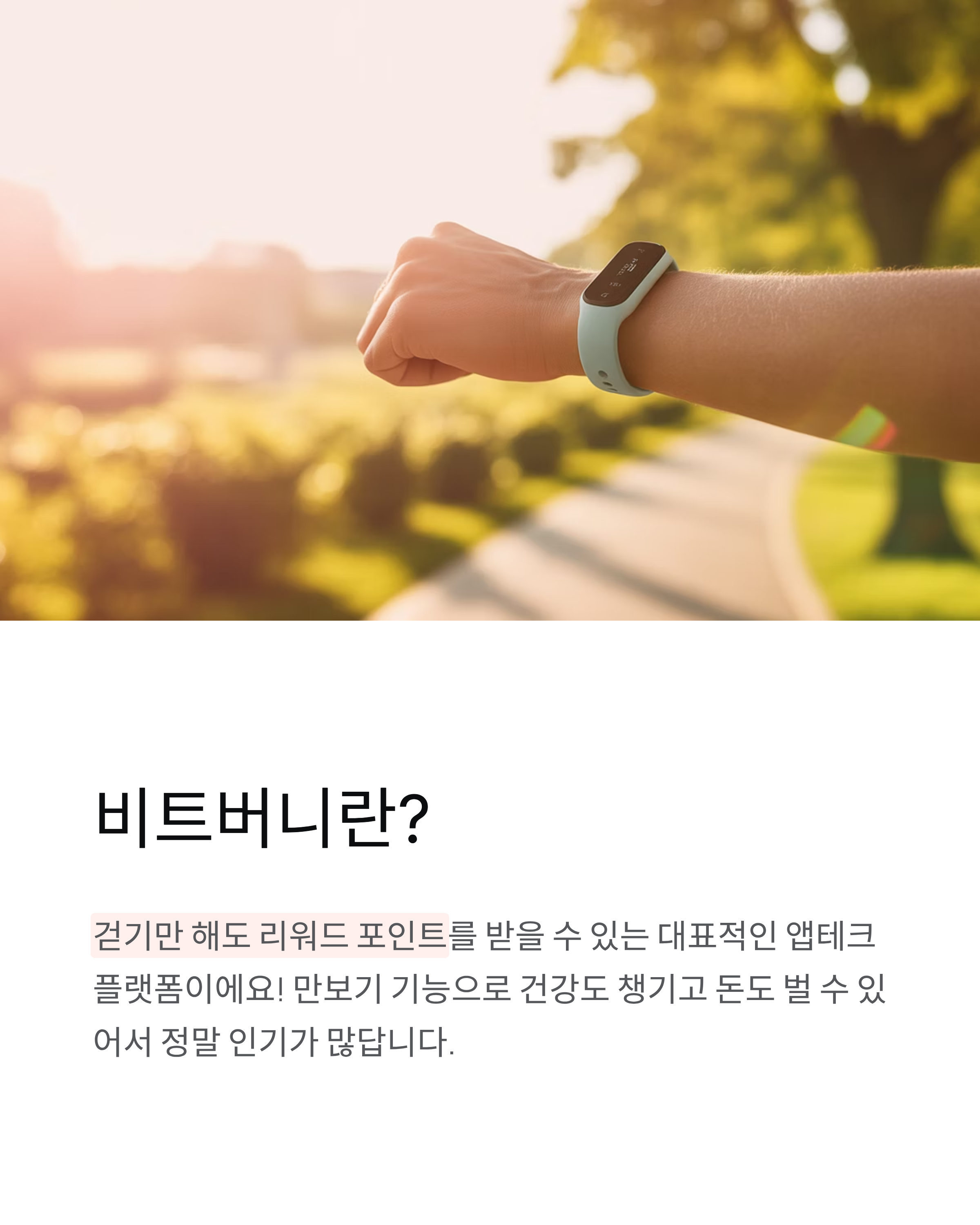 11월 20일 비트버니 퀴즈정답, 오늘의 문제 총정리!