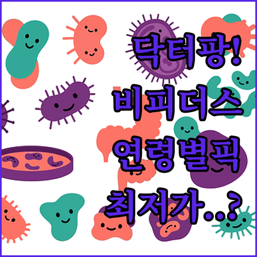 메디타민 닥터팡 비피더스 유산균 연령..