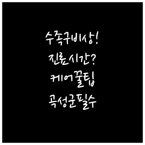 곡성군 보건의료원 수족구 진료 시간과..