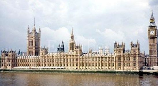 4년 연임제 논의 배경