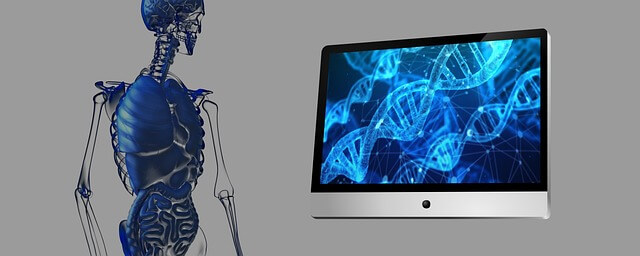 미토콘드리아: 세포의 에너지 공장과 건강