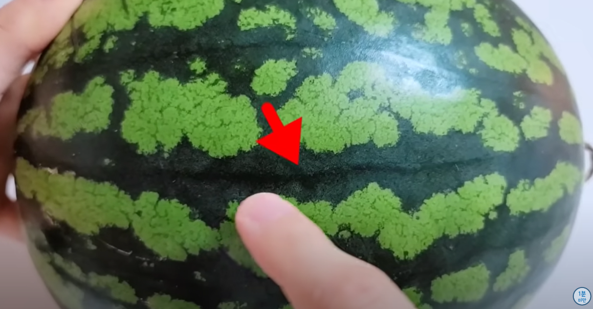 검은 줄 무늬가 있는 수박