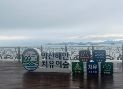 6시 내고향 완도 백반 맛집 만선식당