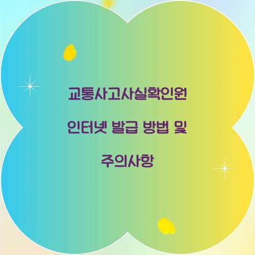 교통사고사실확인원 인터넷 발급