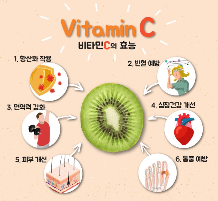 비타민C 효능과 눈건강