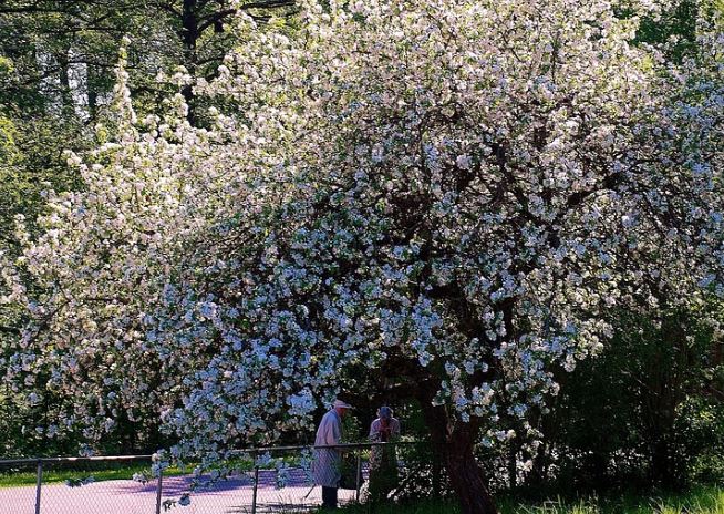 구해줘 홈즈 재방송시간 보러가기 ott 회차정보 출연진 시청률 방송시간